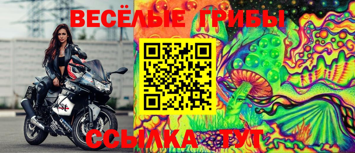 Галлюциногенные грибы GOLDEN TEACHER Ишимбай